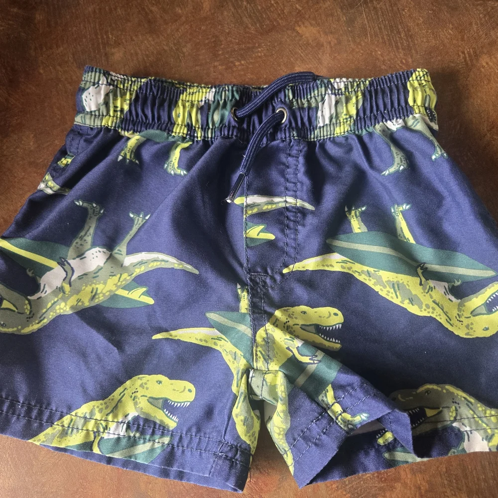 Carter's Dinosaur Swim Outfit 2 Piece-size 18mos EUC
